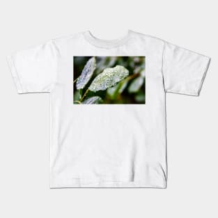 Diamonds of Droplets Kids T-Shirt